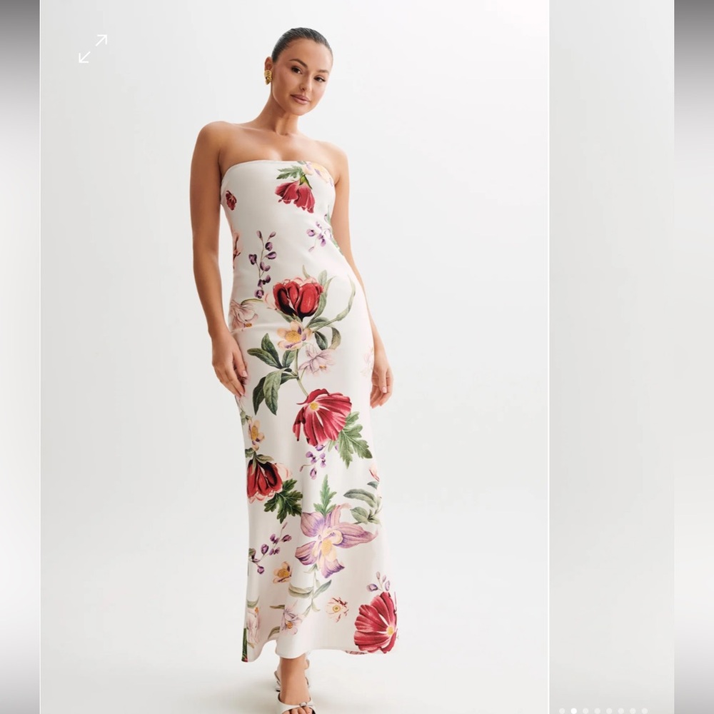 Meshki Claudette Dress (with tags)